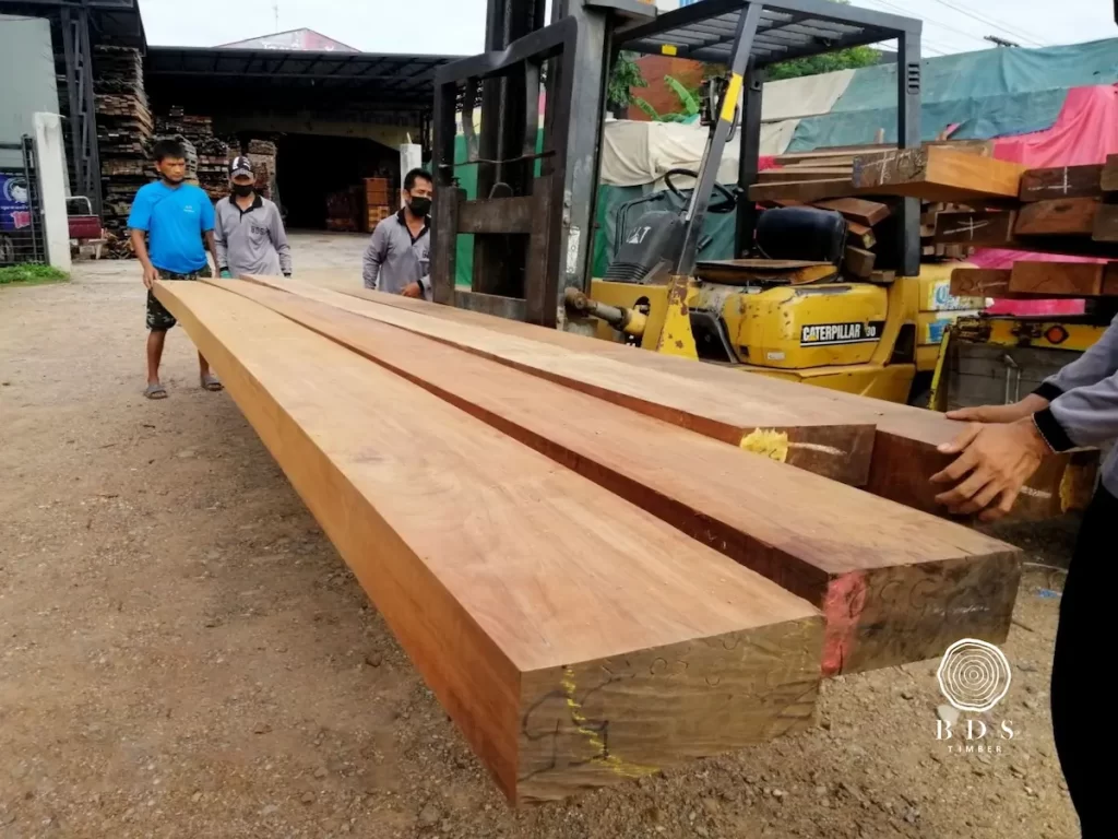 โครงสร้างไม้แดงขนาดพิเศษ